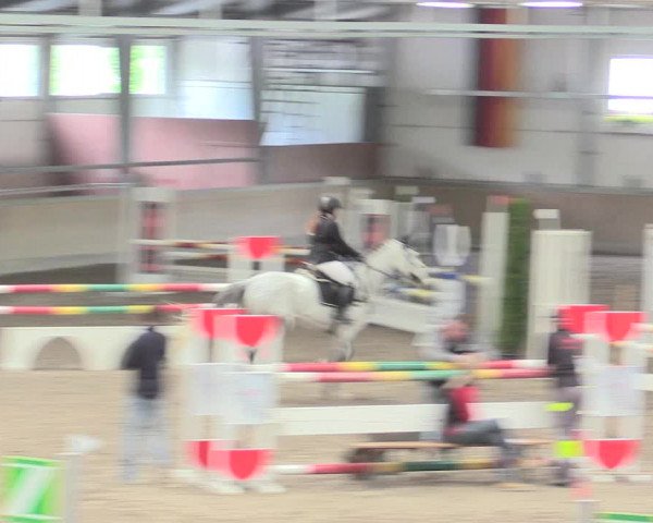 Reitturnier Waghäusel-Wiesental 2017