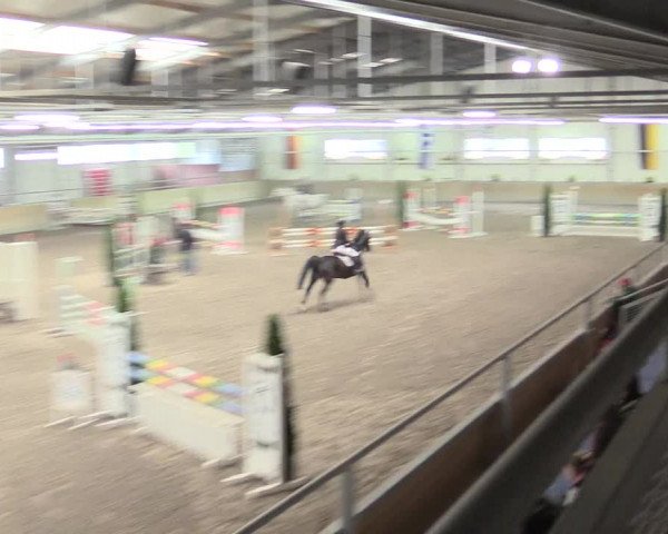 Reitturnier Waghäusel-Wiesental 2017