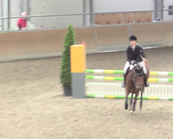 Reitturnier Waghäusel-Wiesental 2017
