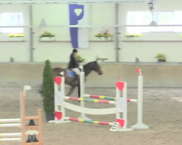 Reitturnier Waghäusel-Wiesental 2017