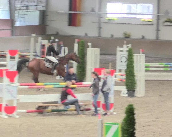 Reitturnier Waghäusel-Wiesental 2017