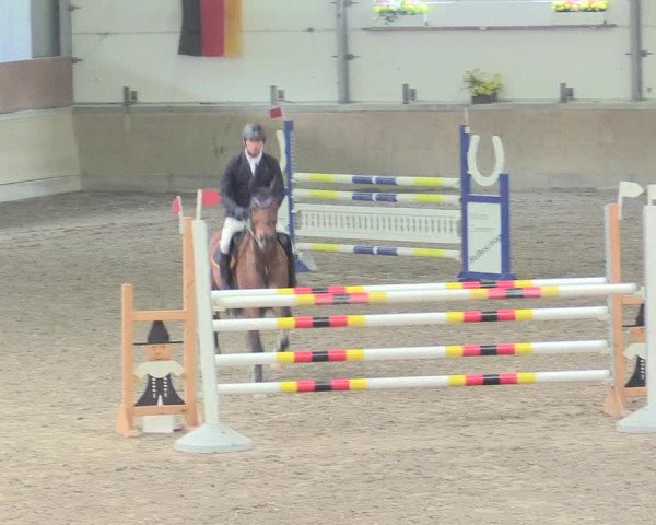 Reitturnier Waghäusel-Wiesental 2017