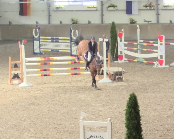 Reitturnier Waghäusel-Wiesental 2017
