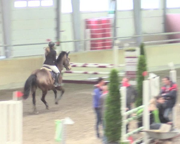 Reitturnier Waghäusel-Wiesental 2017