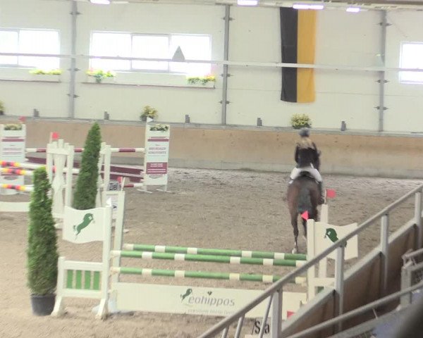 Reitturnier Waghäusel-Wiesental 2017