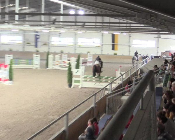Reitturnier Waghäusel-Wiesental 2017