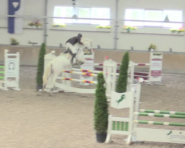 Reitturnier Waghäusel-Wiesental 2017