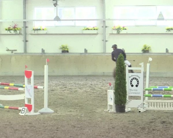 Reitturnier Waghäusel-Wiesental 2017