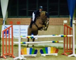 Springpferd That's Blondie (Deutsches Sportpferd, 2015, von Tangelo van de Zuuthoeve)