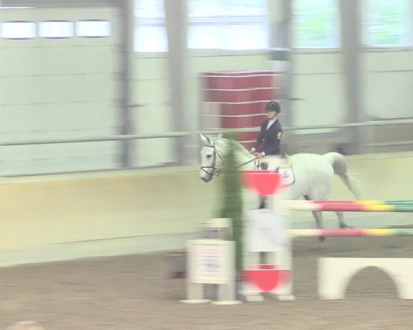 Reitturnier Waghäusel-Wiesental 2017