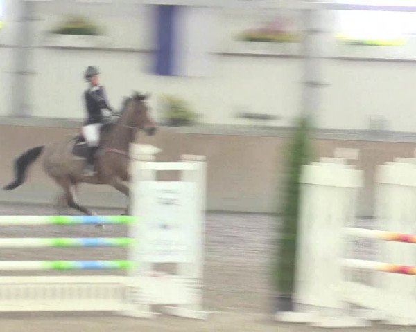 Reitturnier Waghäusel-Wiesental 2017