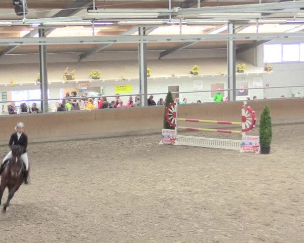 Reitturnier Waghäusel-Wiesental 2017