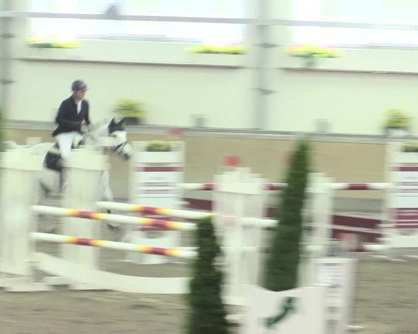 Reitturnier Waghäusel-Wiesental 2017