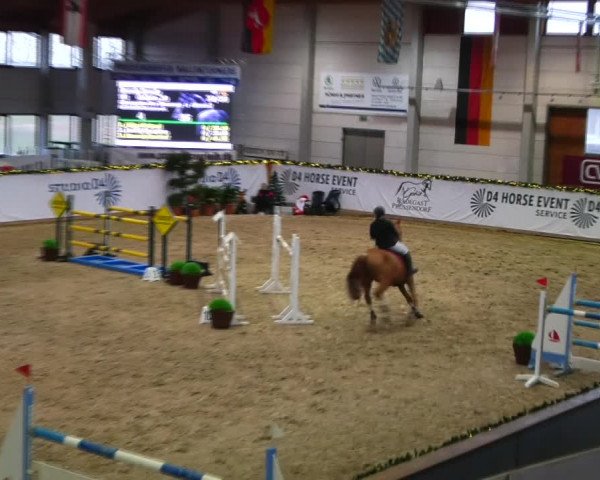 Christmas Jumping Trophy Prussendorf 2021