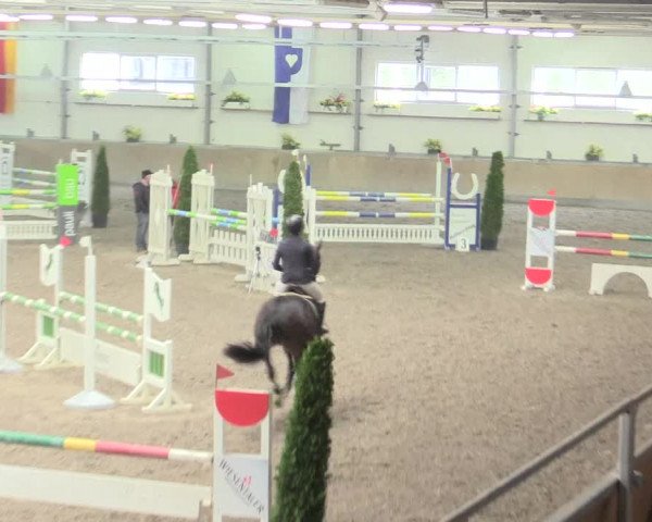 Reitturnier Waghäusel-Wiesental 2017