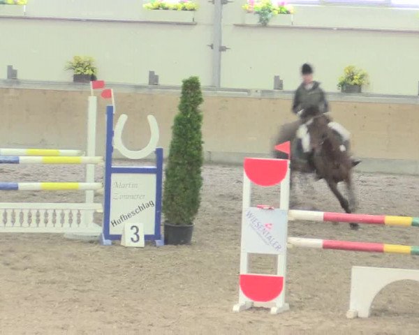 Reitturnier Waghäusel-Wiesental 2017