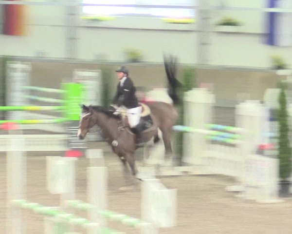 Reitturnier Waghäusel-Wiesental 2017