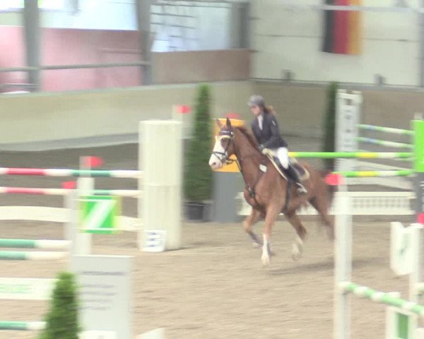 Reitturnier Waghäusel-Wiesental 2017