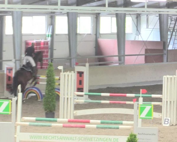 Reitturnier Waghäusel-Wiesental 2017