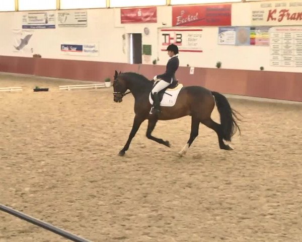 Reitturnier Neunkirchen-Furpach 2017