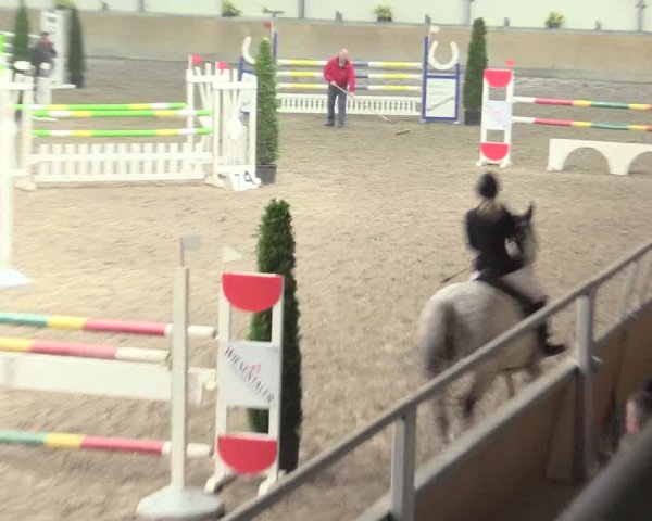 Reitturnier Waghäusel-Wiesental 2017