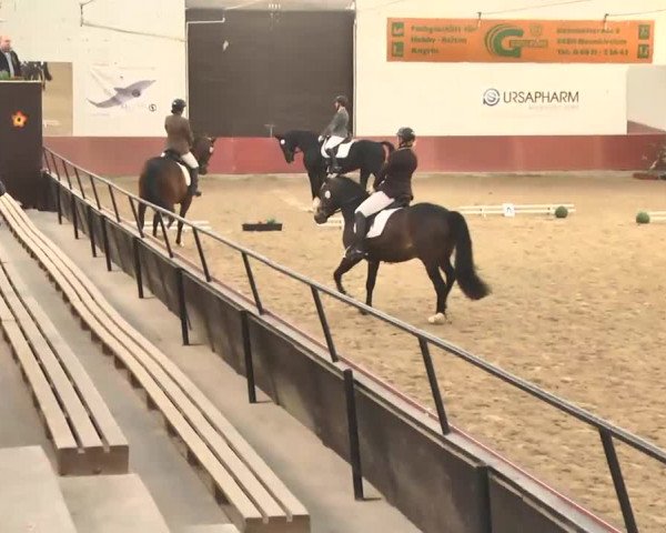 Reitturnier Neunkirchen-Furpach 2017