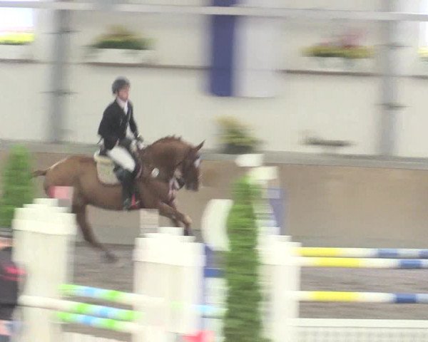 Reitturnier Waghäusel-Wiesental 2017