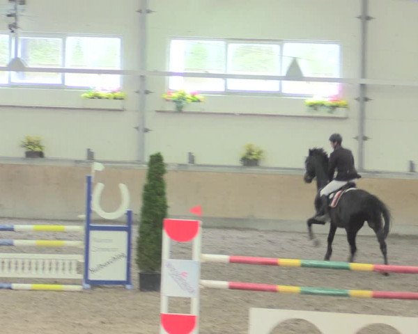 Reitturnier Waghäusel-Wiesental 2017