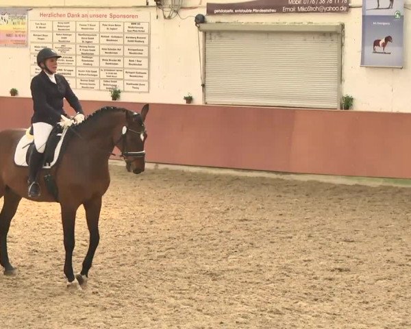 Reitturnier Neunkirchen-Furpach 2017