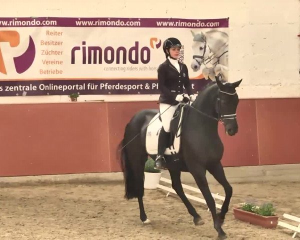 Reitturnier Neunkirchen-Furpach 2017