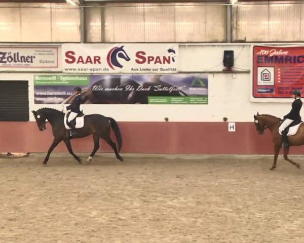 Reitturnier Neunkirchen-Furpach 2017