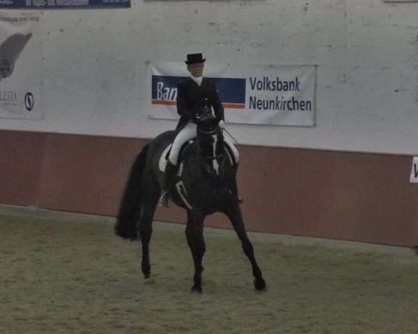 Reitturnier Neunkirchen-Furpach 2017
