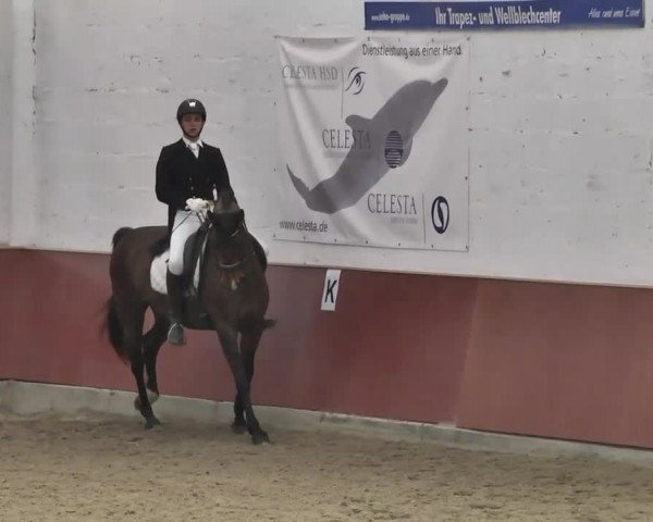 Reitturnier Neunkirchen-Furpach 2017