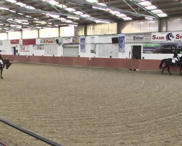 Reitturnier Neunkirchen-Furpach 2017