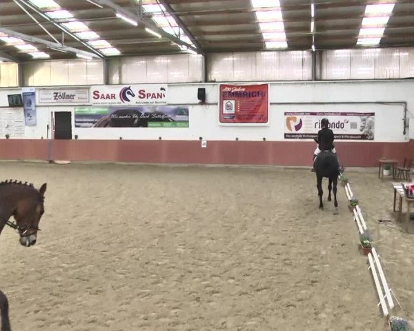 Reitturnier Neunkirchen-Furpach 2017