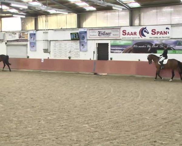 Reitturnier Neunkirchen-Furpach 2017