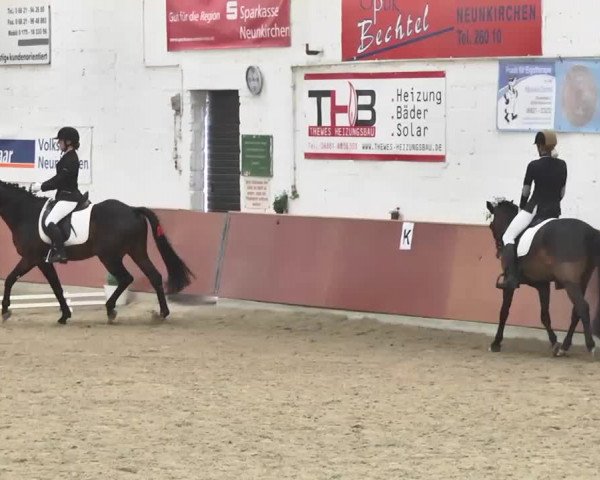 Reitturnier Neunkirchen-Furpach 2017