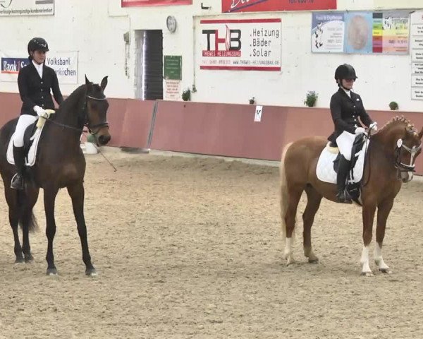 Reitturnier Neunkirchen-Furpach 2017