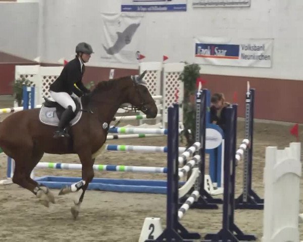 Reitturnier Neunkirchen-Furpach 2017