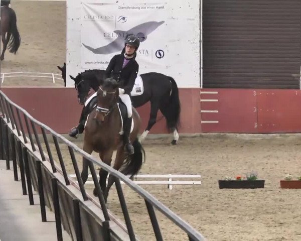 Reitturnier Neunkirchen-Furpach 2017
