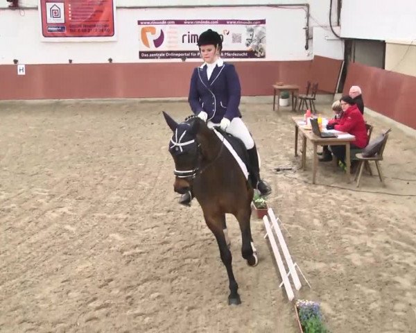 Reitturnier Neunkirchen-Furpach 2017