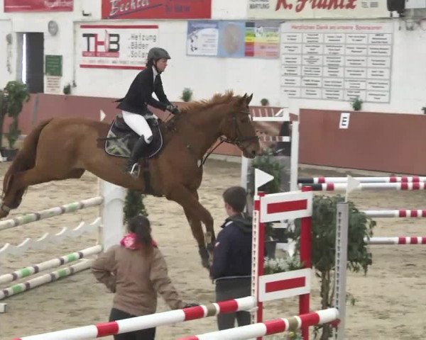Reitturnier Neunkirchen-Furpach 2017