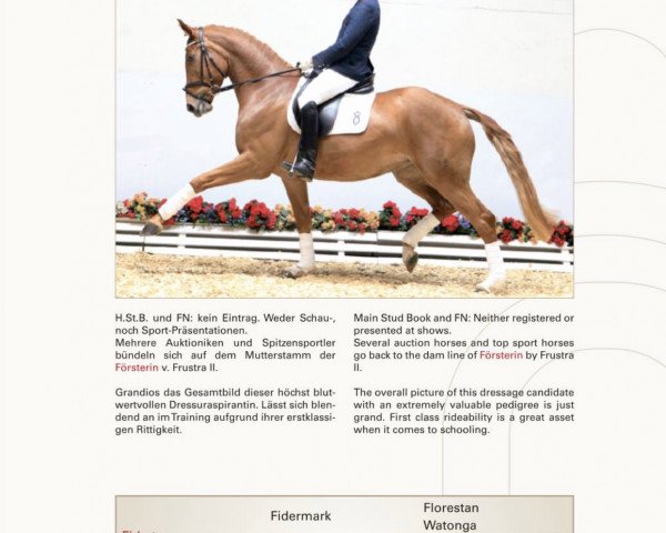dressage horse Flower Power 36 (Oldenburg, 2010, from Fidertanz)