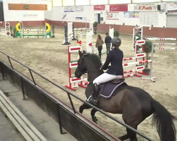 Reitturnier Neunkirchen-Furpach 2017