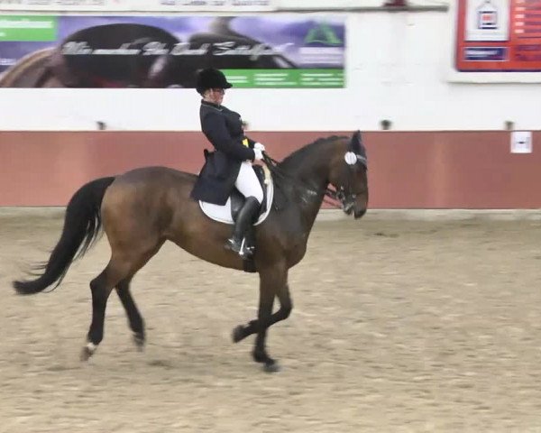 Reitturnier Neunkirchen-Furpach 2017
