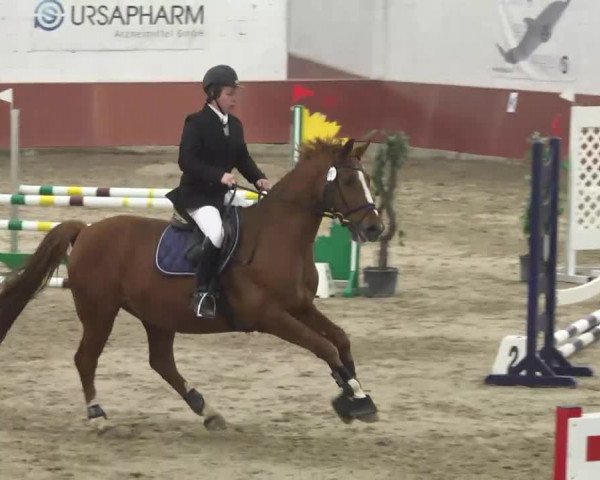 Reitturnier Neunkirchen-Furpach 2017
