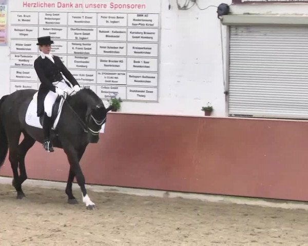 Reitturnier Neunkirchen-Furpach 2017
