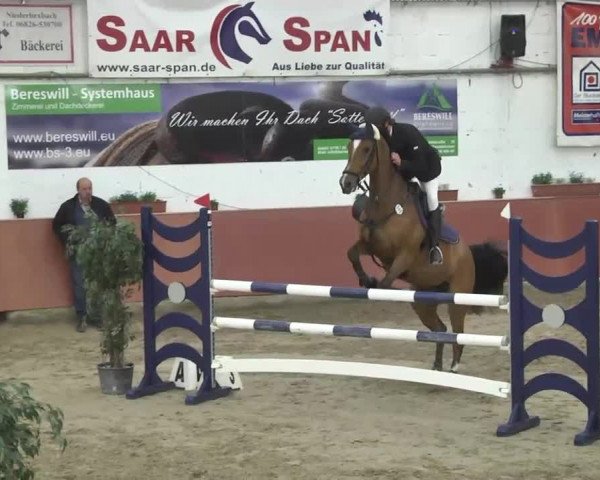 Reitturnier Neunkirchen-Furpach 2017
