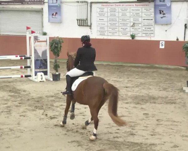 Reitturnier Neunkirchen-Furpach 2017