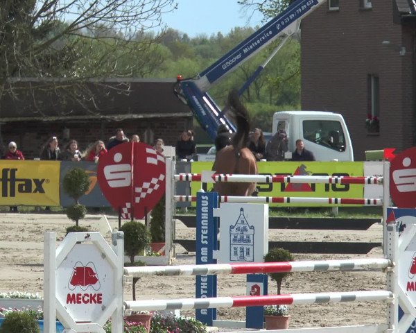 Lenklarer Reitertage 2017